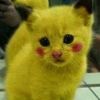 kmocats